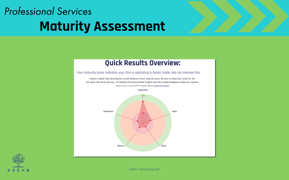 Maturity Assessment