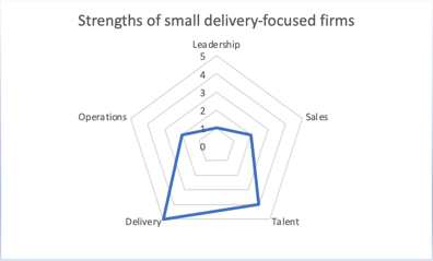 A radar graph showing the strengths of small delivery-focused firms.